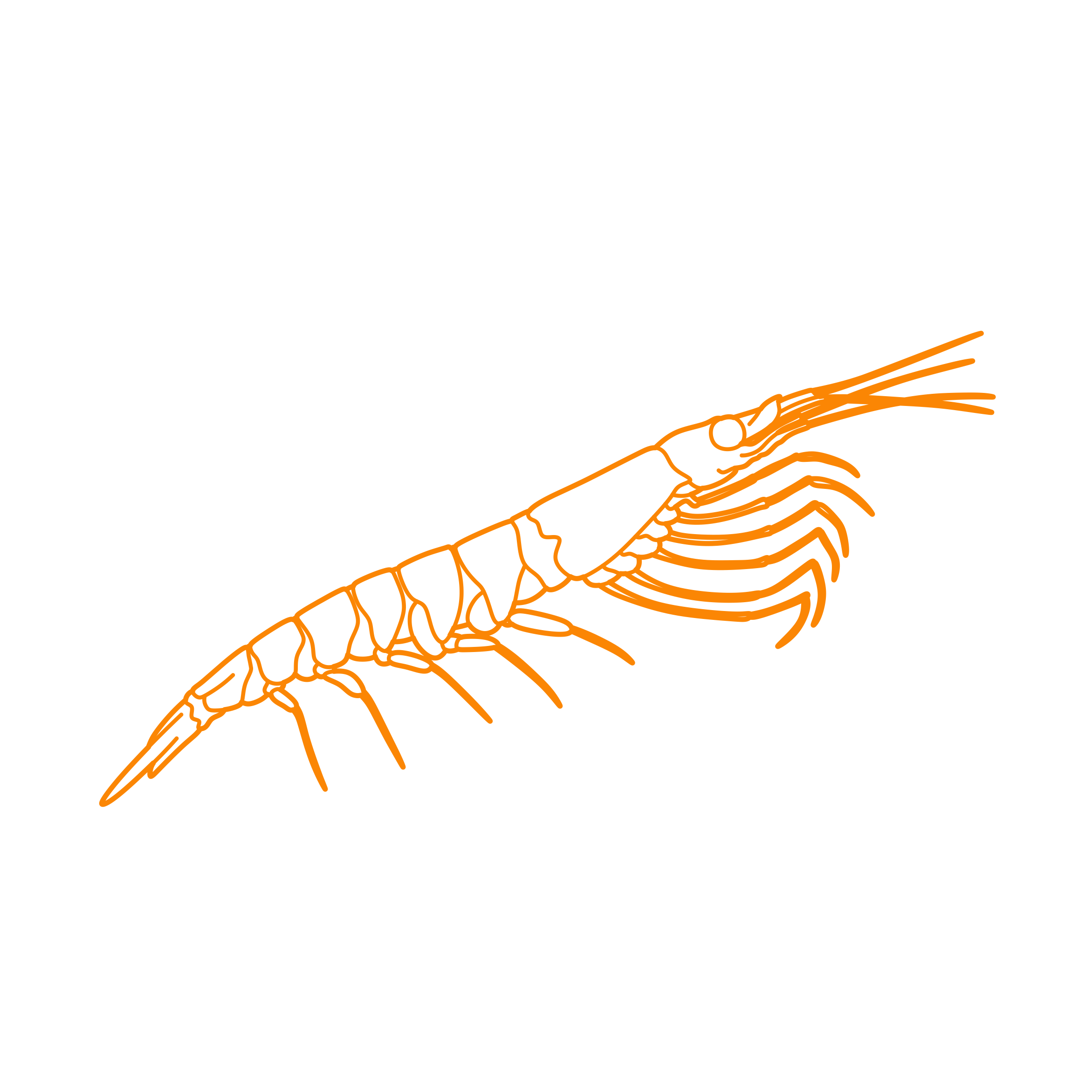 Animals Crustaceans Antarctic Krill Laser Cut Svg File Free Vectors